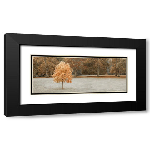 Tree in autumn park Black Modern Wood Framed Art Print with Double Matting by Frank, Assaf