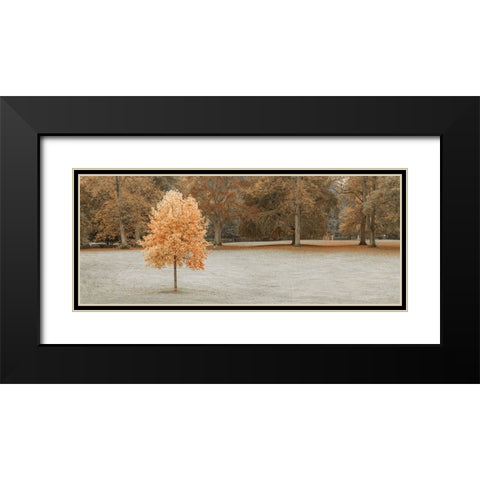Tree in autumn park Black Modern Wood Framed Art Print with Double Matting by Frank, Assaf