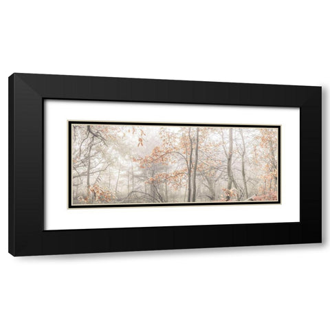 MIsty forest Black Modern Wood Framed Art Print with Double Matting by Frank, Assaf