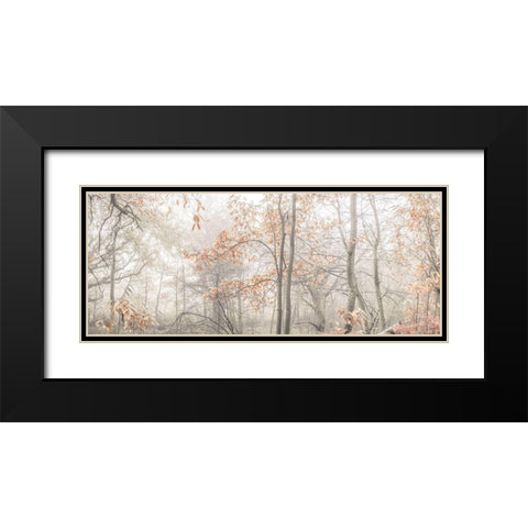 MIsty forest Black Modern Wood Framed Art Print with Double Matting by Frank, Assaf