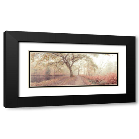 Misty forest Black Modern Wood Framed Art Print with Double Matting by Frank, Assaf