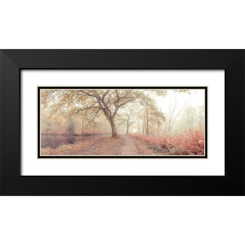 Misty forest Black Modern Wood Framed Art Print with Double Matting by Frank, Assaf
