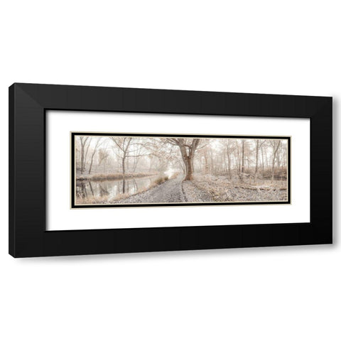 Misty forest Black Modern Wood Framed Art Print with Double Matting by Frank, Assaf