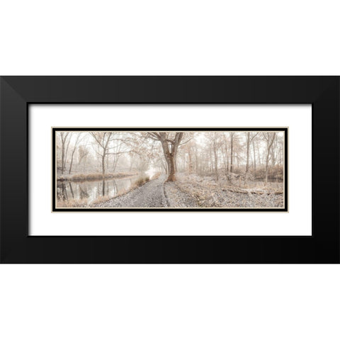 Misty forest Black Modern Wood Framed Art Print with Double Matting by Frank, Assaf
