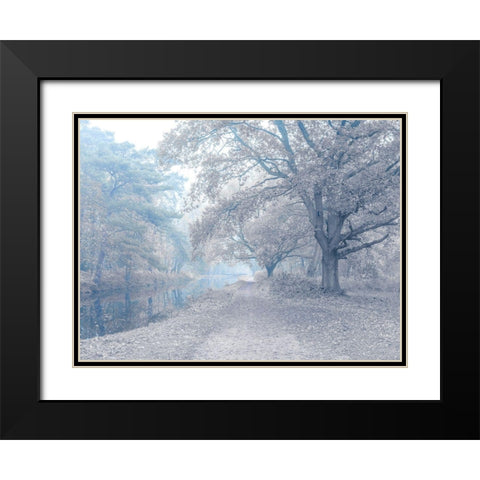 Misty Canal-Autumn Black Modern Wood Framed Art Print with Double Matting by Frank, Assaf