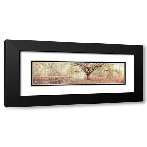 Canal through forest Black Modern Wood Framed Art Print with Double Matting by Frank, Assaf