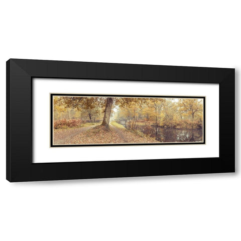 Canal through forest Black Modern Wood Framed Art Print with Double Matting by Frank, Assaf
