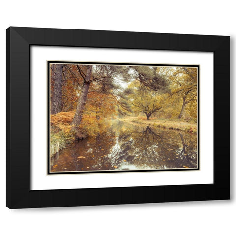 Canal through forest Black Modern Wood Framed Art Print with Double Matting by Frank, Assaf