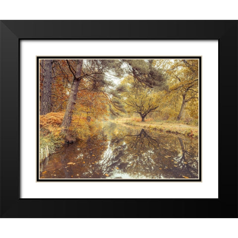 Canal through forest Black Modern Wood Framed Art Print with Double Matting by Frank, Assaf