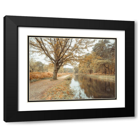 Canal through forest Black Modern Wood Framed Art Print with Double Matting by Frank, Assaf