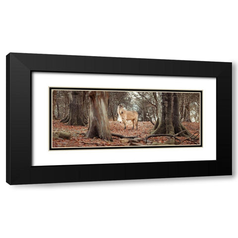 Horse in forest Black Modern Wood Framed Art Print with Double Matting by Frank, Assaf