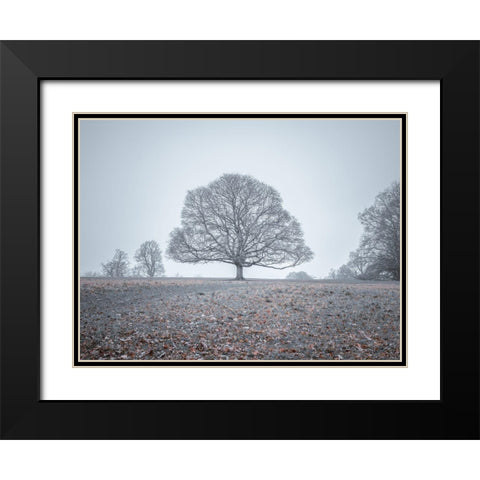 Single tree in meadow Black Modern Wood Framed Art Print with Double Matting by Frank, Assaf