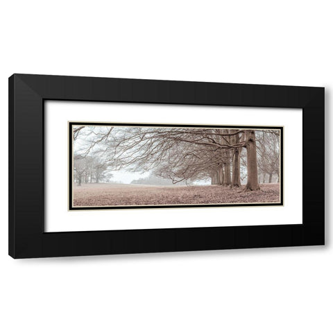 Trees in a row Black Modern Wood Framed Art Print with Double Matting by Frank, Assaf