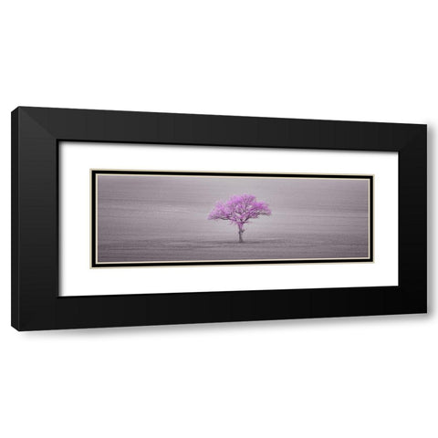 Single tree in foggy field Black Modern Wood Framed Art Print with Double Matting by Frank, Assaf