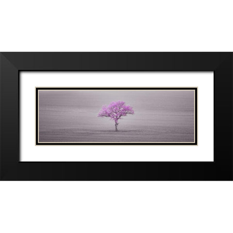 Single tree in foggy field Black Modern Wood Framed Art Print with Double Matting by Frank, Assaf