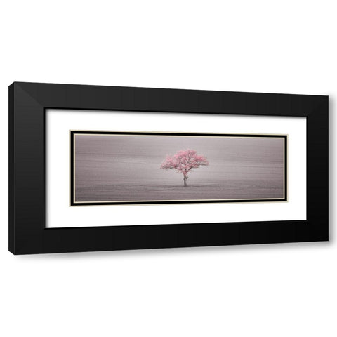 Single tree in foggy field Black Modern Wood Framed Art Print with Double Matting by Frank, Assaf