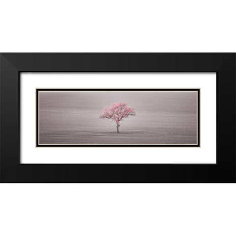 Single tree in foggy field Black Modern Wood Framed Art Print with Double Matting by Frank, Assaf