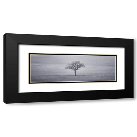 Single tree in foggy grassfield Black Modern Wood Framed Art Print with Double Matting by Frank, Assaf