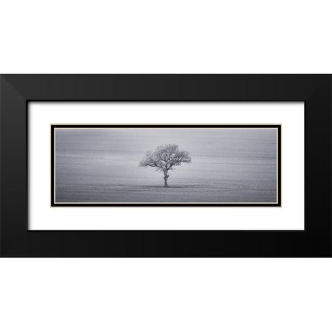 Single tree in foggy grassfield Black Modern Wood Framed Art Print with Double Matting by Frank, Assaf