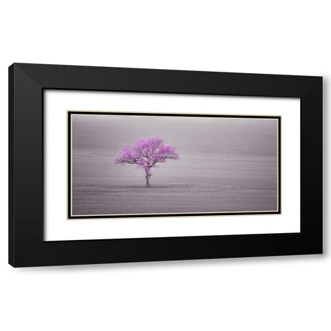 Single tree in foggy grassfield Black Modern Wood Framed Art Print with Double Matting by Frank, Assaf