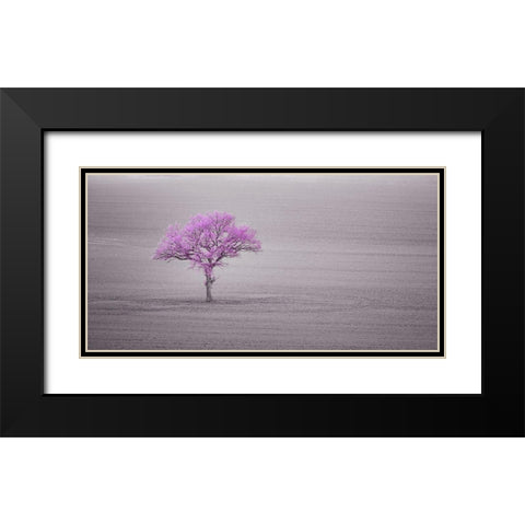 Single tree in foggy grassfield Black Modern Wood Framed Art Print with Double Matting by Frank, Assaf