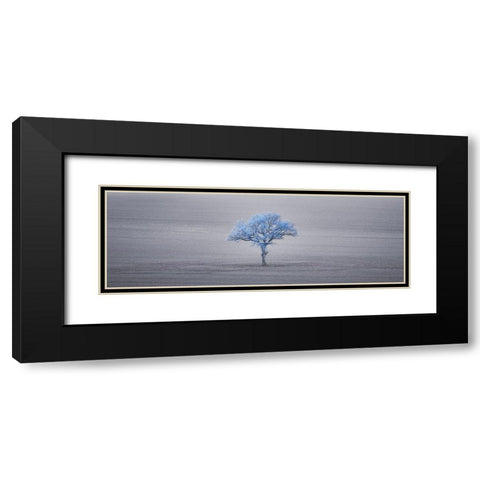 Single tree in foggy grassfield Black Modern Wood Framed Art Print with Double Matting by Frank, Assaf