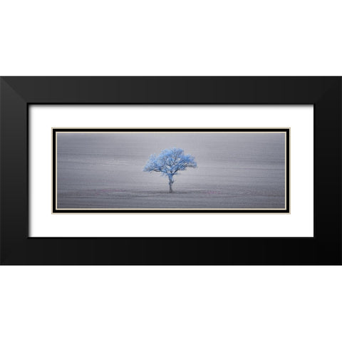 Single tree in foggy grassfield Black Modern Wood Framed Art Print with Double Matting by Frank, Assaf