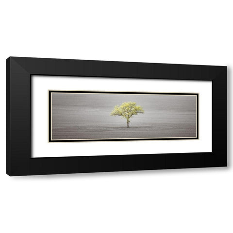 Single tree in foggy field Black Modern Wood Framed Art Print with Double Matting by Frank, Assaf