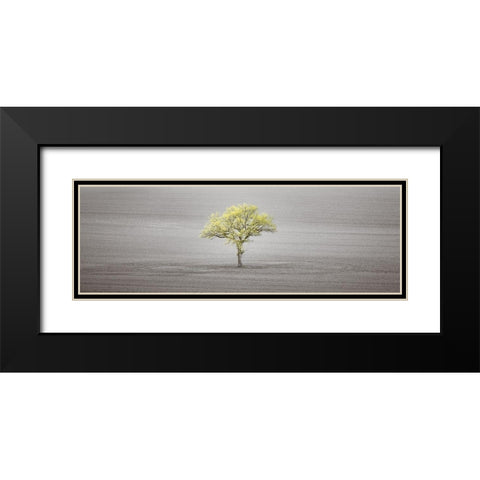 Single tree in foggy field Black Modern Wood Framed Art Print with Double Matting by Frank, Assaf