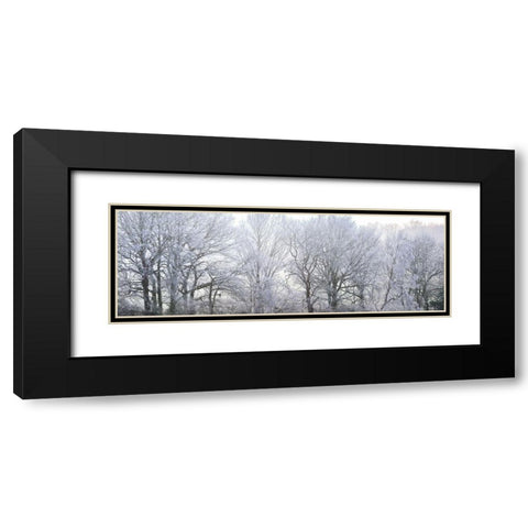 Misty forest Black Modern Wood Framed Art Print with Double Matting by Frank, Assaf