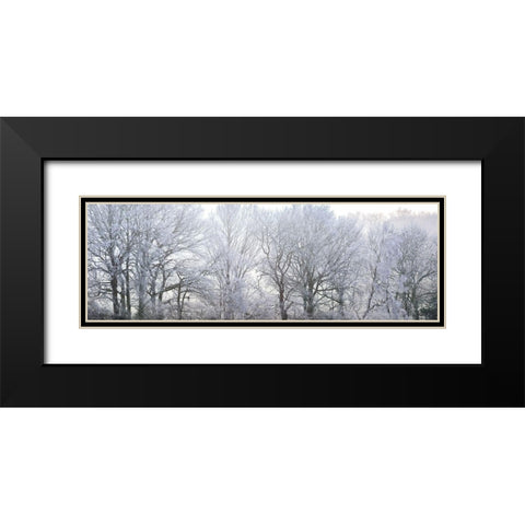 Misty forest Black Modern Wood Framed Art Print with Double Matting by Frank, Assaf