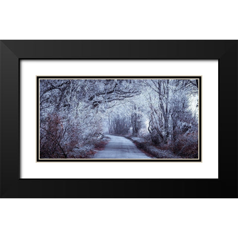 Frosted road through forest Black Modern Wood Framed Art Print with Double Matting by Frank, Assaf