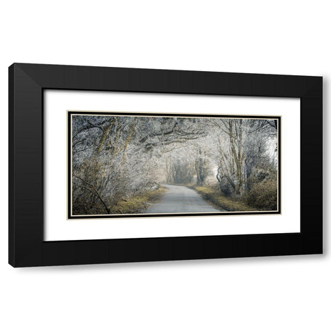 Frosted road through forest Black Modern Wood Framed Art Print with Double Matting by Frank, Assaf