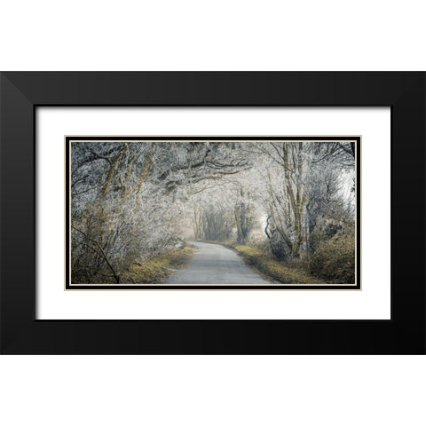 Frosted road through forest Black Modern Wood Framed Art Print with Double Matting by Frank, Assaf