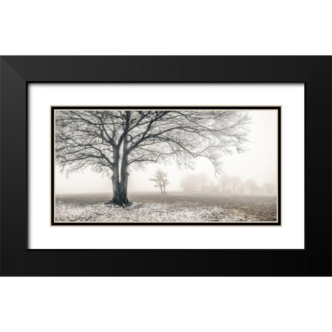 Misty forest Black Modern Wood Framed Art Print with Double Matting by Frank, Assaf