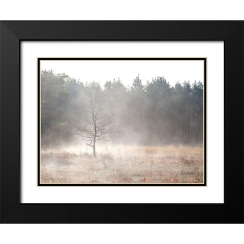 Misty forest Black Modern Wood Framed Art Print with Double Matting by Frank, Assaf