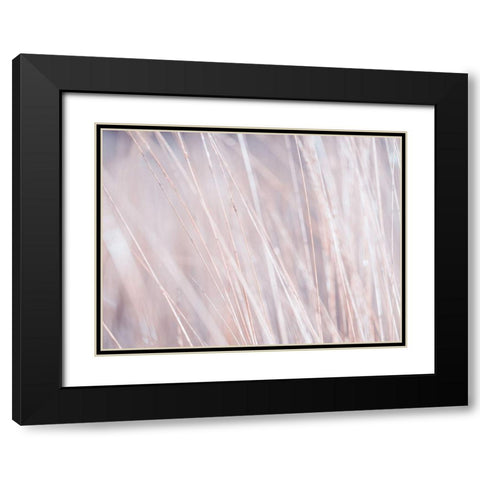 Dried grass Black Modern Wood Framed Art Print with Double Matting by Frank, Assaf