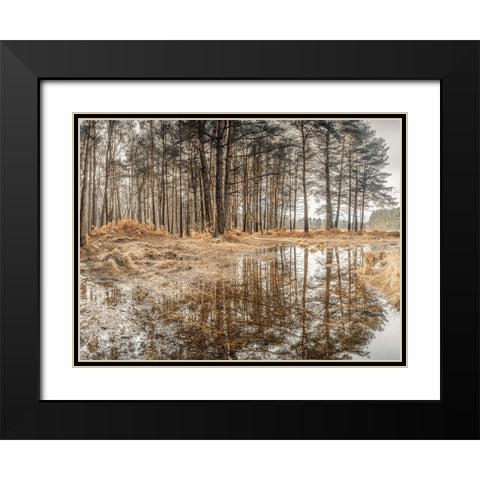 Forest reflections Black Modern Wood Framed Art Print with Double Matting by Frank, Assaf