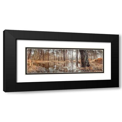 Canal through forest Black Modern Wood Framed Art Print with Double Matting by Frank, Assaf
