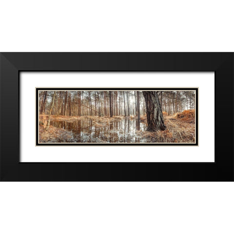 Canal through forest Black Modern Wood Framed Art Print with Double Matting by Frank, Assaf