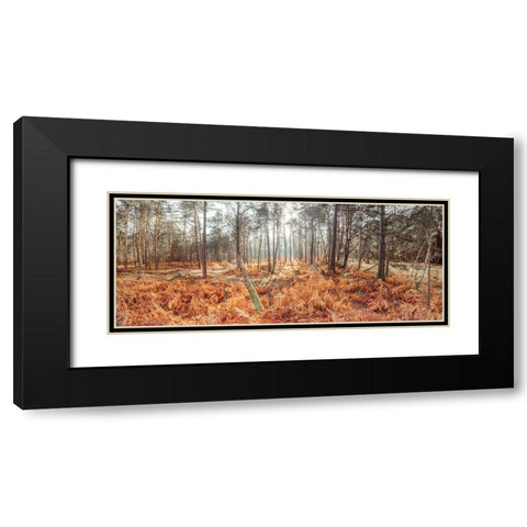 Autumn forest Black Modern Wood Framed Art Print with Double Matting by Frank, Assaf