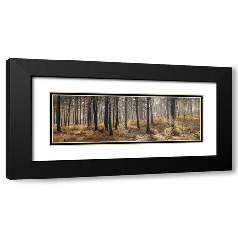 Autumn forest Black Modern Wood Framed Art Print with Double Matting by Frank, Assaf