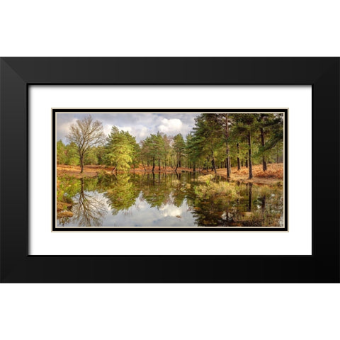Canal through forest Black Modern Wood Framed Art Print with Double Matting by Frank, Assaf