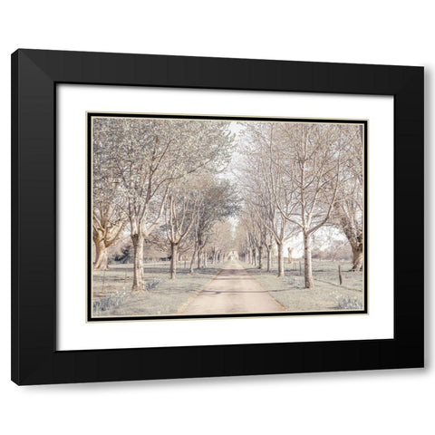 Pathway through forest Black Modern Wood Framed Art Print with Double Matting by Frank, Assaf