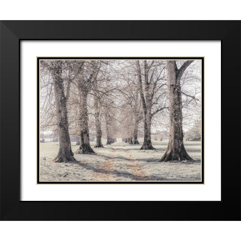 Pathway through forest Black Modern Wood Framed Art Print with Double Matting by Frank, Assaf