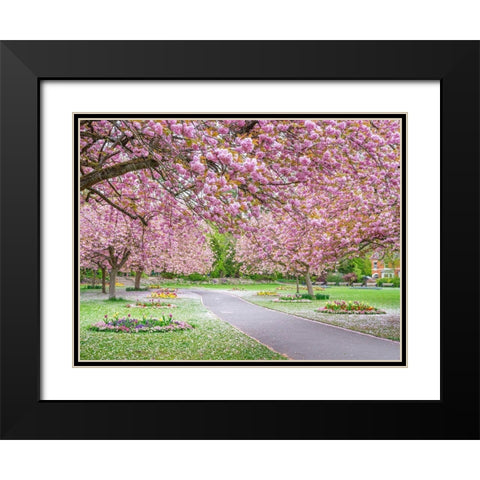 Blossom in the park Black Modern Wood Framed Art Print with Double Matting by Frank, Assaf