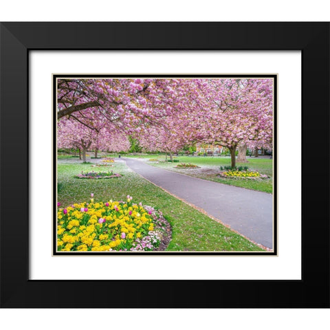 Blossom in the park Black Modern Wood Framed Art Print with Double Matting by Frank, Assaf