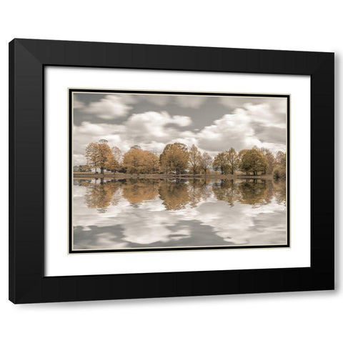 Trees along the lake Black Modern Wood Framed Art Print with Double Matting by Frank, Assaf
