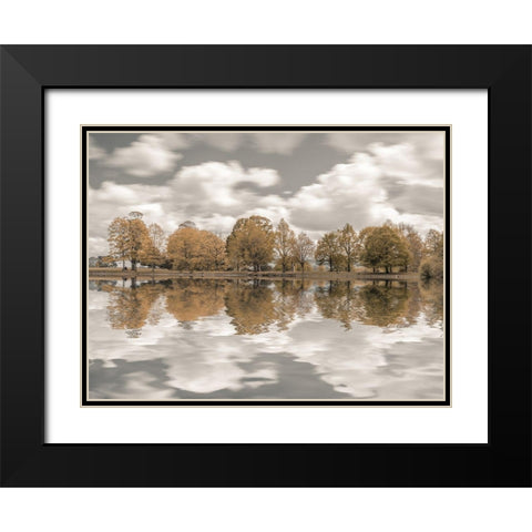 Trees along the lake Black Modern Wood Framed Art Print with Double Matting by Frank, Assaf