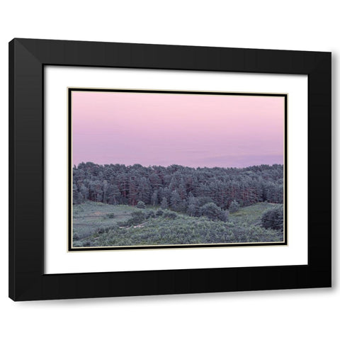 Dense Forest Black Modern Wood Framed Art Print with Double Matting by Frank, Assaf